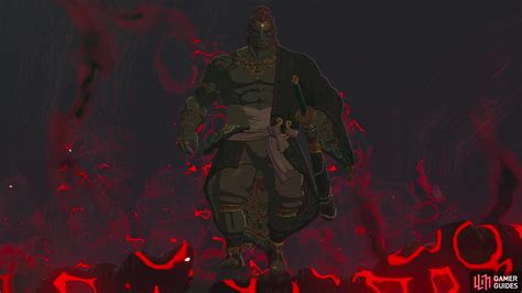 where to find ganondorf|ganondorf pictures.